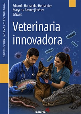 Libro_VInPNT